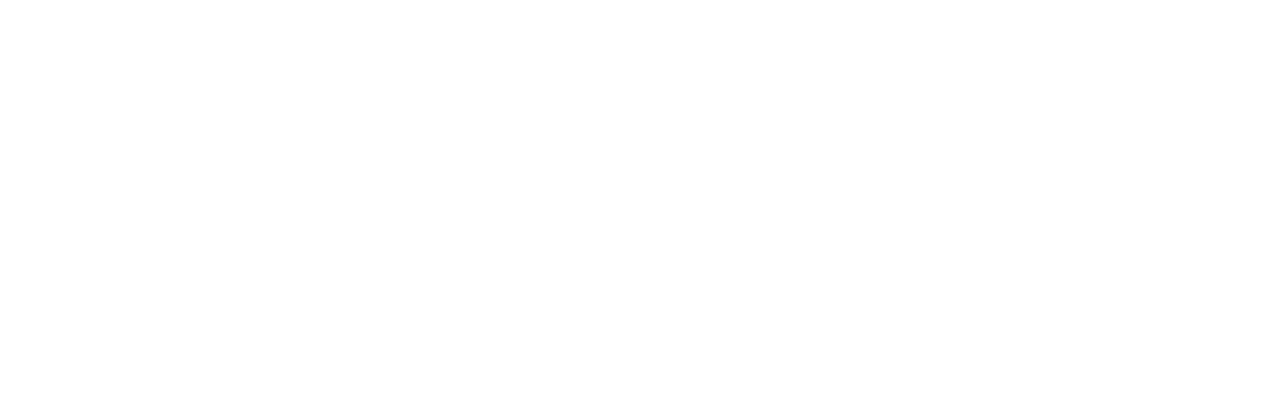 Nexus-white-01 (002)